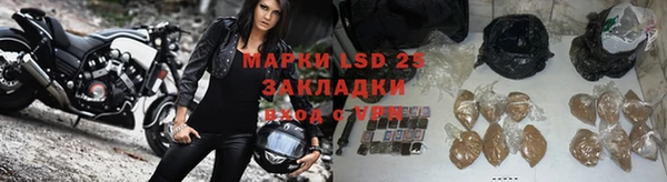 крисы Новодвинск