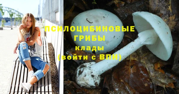 ешки Нефтекумск